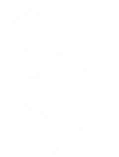 Straumann Implant Technology